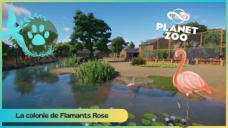 Planet Zoo SpeedBuild - BoParc #15 La colonie de Flamant Rose