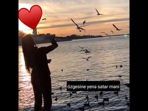 Qatar məni apar məni özgəsinə yenə satar məni 🖤🍷