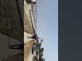 mini vlog