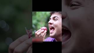 Ashish Chanchlani with Patakhe in Diwali #shorts #comedy #roast #diwali #biggboss #pranitmore