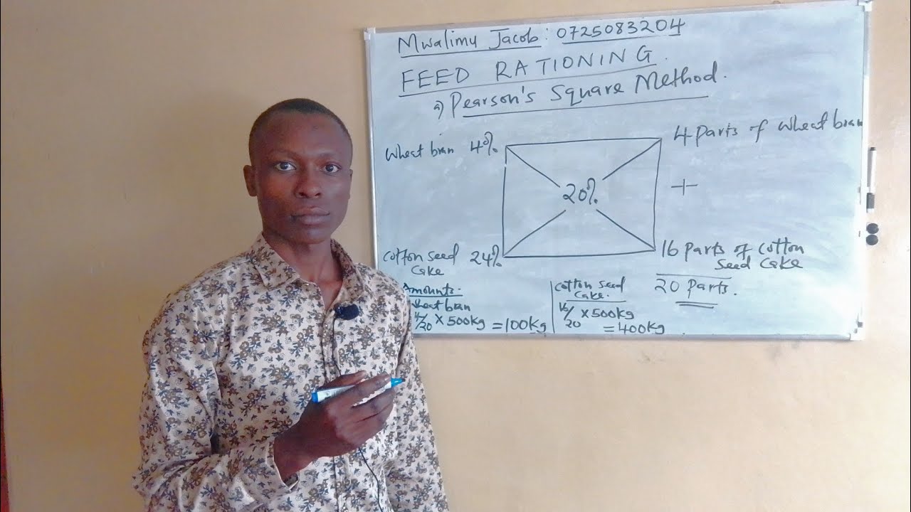 Livestock Feed Rationing using Pearson's Square Method || Agriculture Form 2 Revision