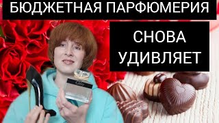 БЮДЖЕТНАЯ ПАРФЮМЕРИЯ / FRAGRANCE WORLD CLASSY CHIC GIRL / CLÓY EAU DE PARFUM