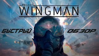 Project Wingman - Ace Combat для бедных [Быстрый Обзор]