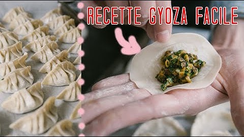 RECETTE DE GYOZA FACILE !