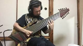 11 string bass on Technical Death Metal