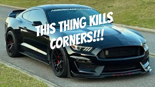 DESTROYING CURVES in a Shelby GT350!!