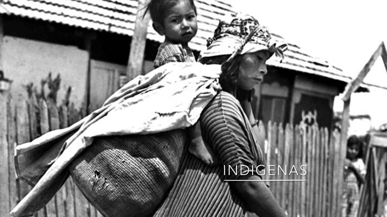 Pavo Real del Mar - Leo Matiz contemporáneo rae