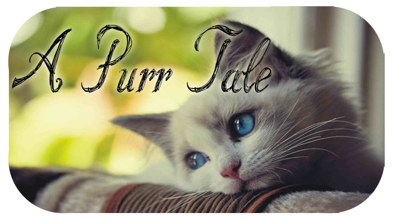 A Purr Tale Gameplay - A sad story about a cat