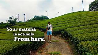 Your Uji matcha tea is not from Uji