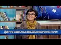Защиту  бездомных собак обеспечит проект "Топлан"
