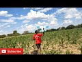 rc plane will it fly 🛫🛫🛫🛫