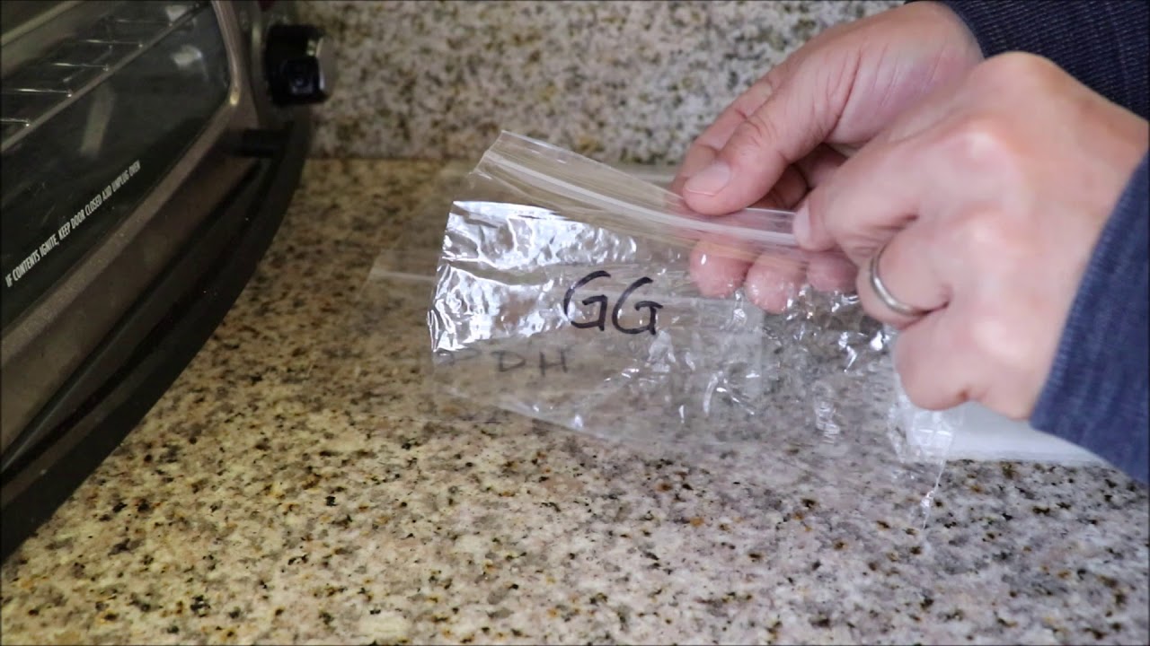 How to Germinate Marijuana Seeds - Gorilla Glue, Purple Deadhead, & Blue Crack