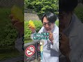 ウォーキング1時間とカフェラテを無糖にするだけでどえらい痩せる