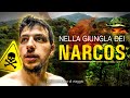Ref:Xwyl4JZ7hPc Dari�n gap: viaggio nella giungla pi� pericolosa del sud america - documentario di viaggio