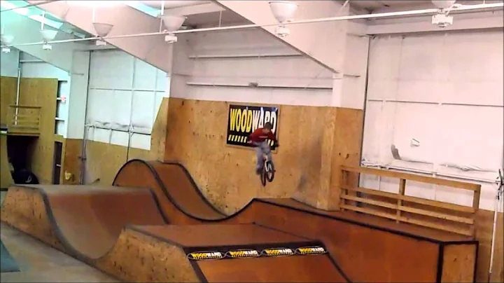 Woodward 2013