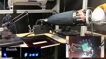 Shadow robot hand unconstrained grasping