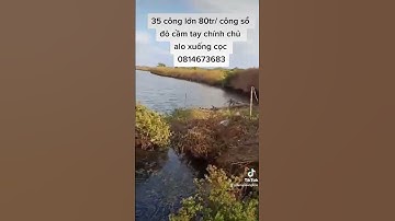 35 công sổ đỏ đất rất đẹp lộ mới làm giá rẻ 80tr/ công