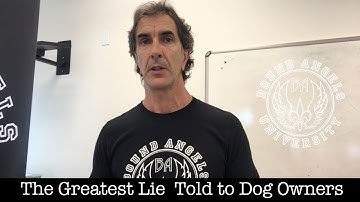 The Greatest Lie Told to Dog Owners