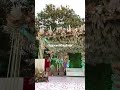 @#pampassstagedecor#jungletheme#weddingdecor