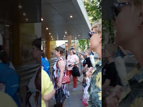 Юрий Куклачёв в Анапе. Летняя эстрада. #кошки