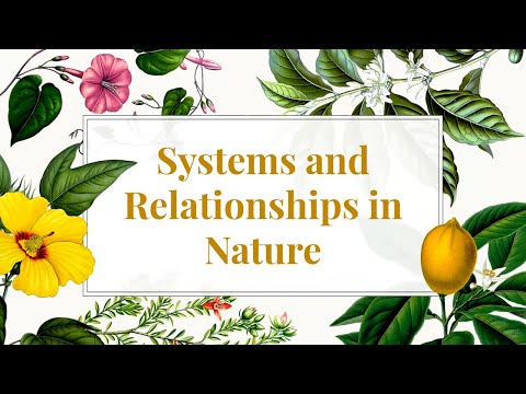 Ed-Venture: Systems and