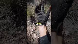 How A Simple Fall Became Much Worse 😲