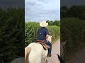 Que parónnn #cowboy #vacas #rancho #vaquero #caballos  #wittogonzlez #shorts