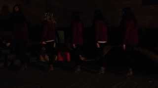 Lambda Theta Alpha Gamma Xi Fall 2013 Line Salute