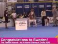 dfs crufts 2010 Hound Group Winner (Pharaoh Hound) の動画、YouTube動画。