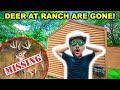 The DEER at My ABANDONED RANCH are GONE!!! (RIP)