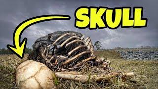 We Found SKULLS Dumped on the Side of the Road!