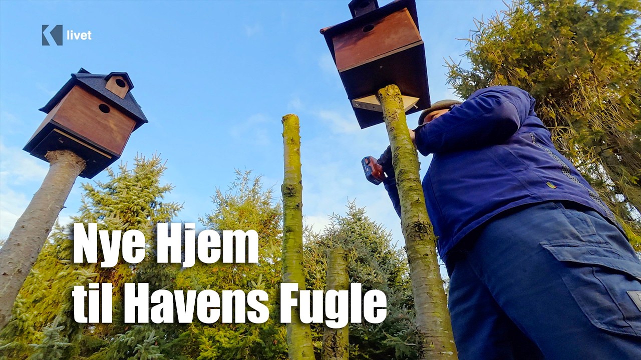 Fuglekasser i Frost: Liv i Majbritts Vestjyske Have