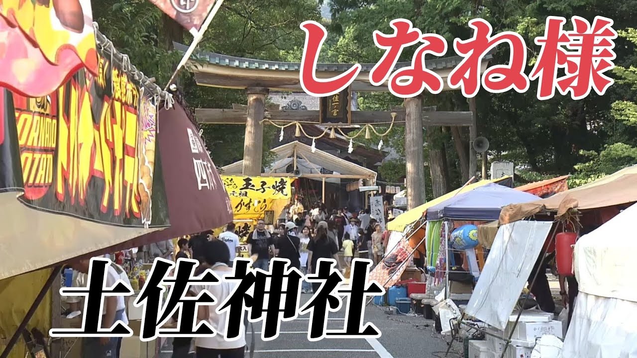 Shinanesama