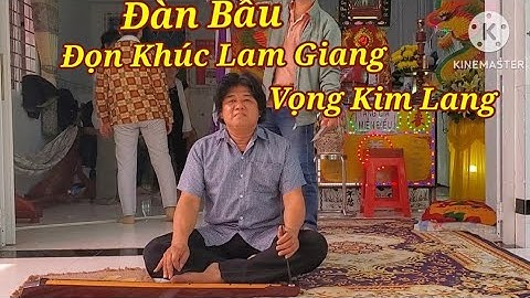 Đàn Bầu Đoạn Khuc Lam Giang và Vọng Kim Lang . Trung Dung LA