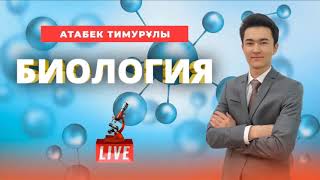 картинка: ҰБТ-ға дайындық. Биология. Жасуша мембранасы арқылы заттар тасымалдануының типтері.