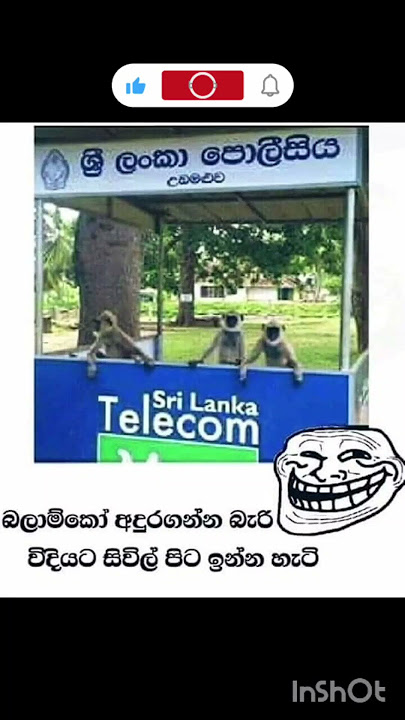 #memes #comdeymemes #amazingmemes #funny #comedy #cute #duet #unfrezzmyaccount #earth #nature