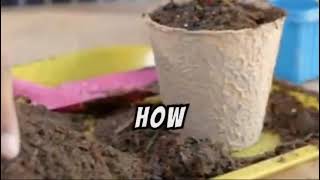 Growing a greener future