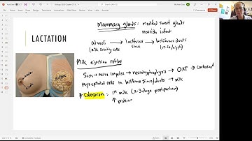 Biology 2020 Chapter 27 Reproductive System:  Lactation (Video 16)
