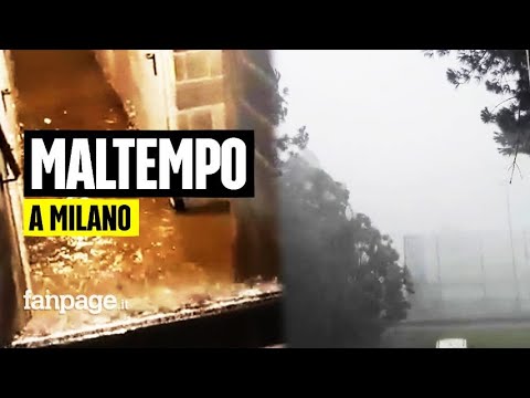 Video: Danni da tornado nei giardini - Come salvare le piante dopo un tornado