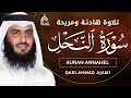 سورة النحل كاملة بصوت احمد العجمي تلاوة خاشعة تبعث السكينة وتشرح الصدر Surah An Nahl