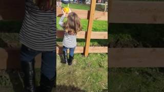 Pumpkin toss at Harvest Festival @ Miracle Ranch