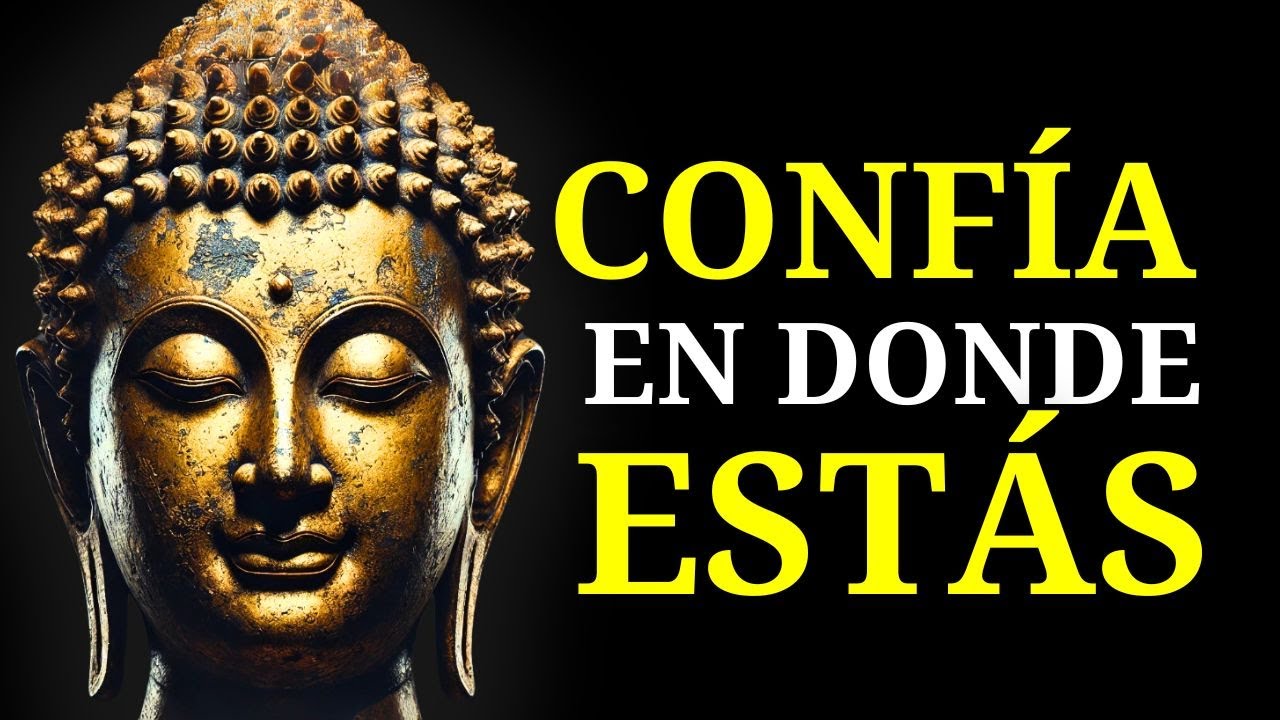 (SIN ANUNCIOS) Duérmete Con Enseñanzas Budistas Que Te Recuerdan: Está Bien Sentirse Perdido