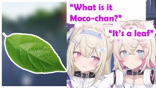 Fuwawa Got Scared By This
Maybe Fuwawa was right and it was a leaf bug!
Stream Source:
【SUPERCHAT READING】double puppy princesses 🐾✨
https://www.youtube.com/live/ZuZX8k7cQdM?si=nk7VlZqy_QuATXl2&t=5501
FuwaMoco:
https://www.youtube.com/@FUWAMOCOch
#hololive Fuwawa Got Scared By This