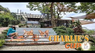 Charlies Cup | Cinematic Vlog | coffee | cebu
