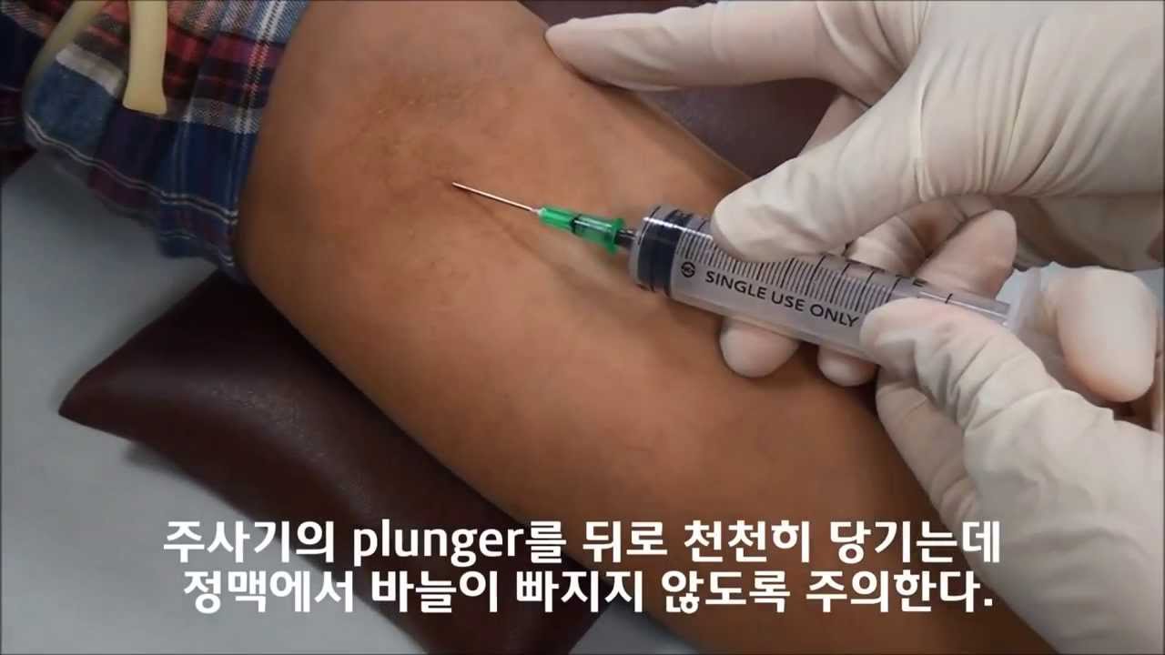 혈액배양을 위한 정맥채혈