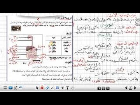 فرض الفصل الأول علوم طبيعية السنة الرابعة متوسط