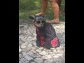 URFF / LOLCITO CON EL MIKOSO TAMBIEN CONOCIDO "EL PICHIRILO!