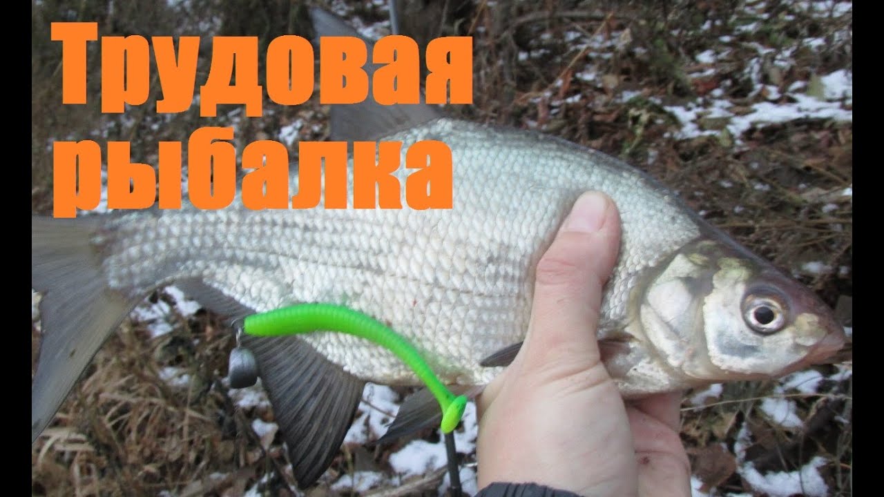Клязьма и ока