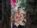 #shortvideo #dance #velocity #beranda #automobile #masukberanda #ditagahindaktatagah #comedy