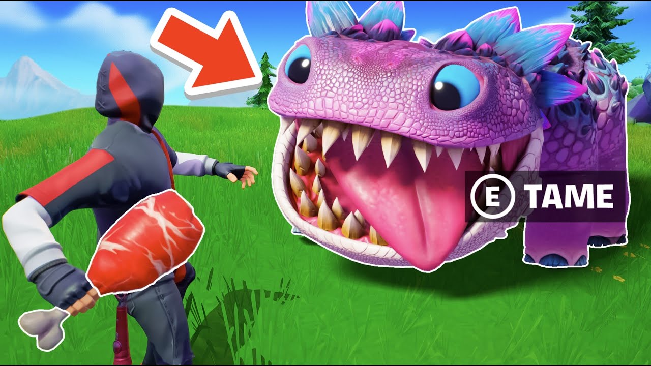 I Busted 20 Fortnite Myths!
